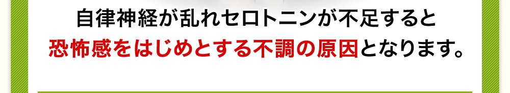 自律神経が乱れセロトニンが不足すると恐怖感をはじめとする不調の原因となります。