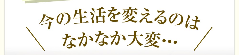 今の生活を変えるのはなかなか大変・・・