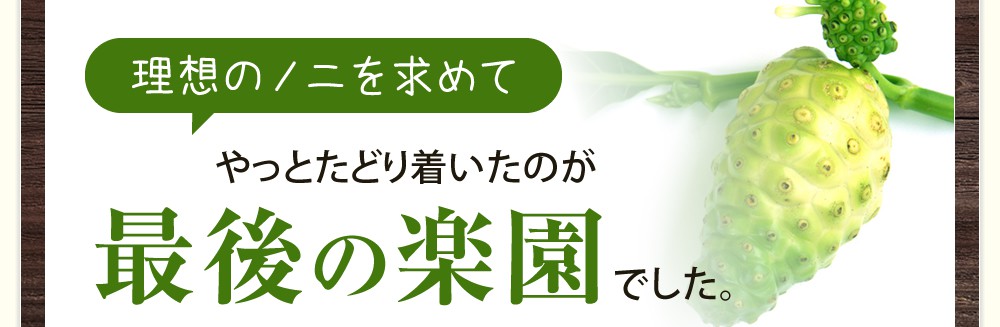 理想のノニを求めて最後にたどり着いたのが最後の楽園でした。